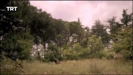 Yunus Emre - Season 01 Episode 20